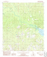 Summerfield 1986 topographic map thumbnail