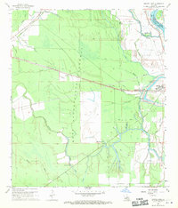 Swayze Lake 1968 topographic map thumbnail