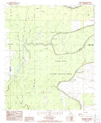 Tensas Bluff 1987 topographic map thumbnail