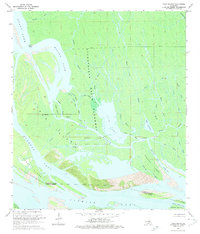 Tiger Island 1969 topographic map thumbnail