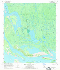 Tiger Island 1969 topographic map thumbnail