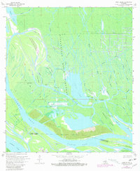 Tiger Island 1969 topographic map thumbnail