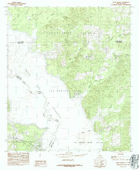 Union Springs 1984 topographic map thumbnail