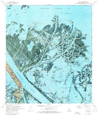 Venice 1971 topographic map thumbnail