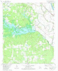 Wallace Lake 1980 topographic map thumbnail