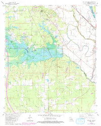 Wallace Lake 1980 topographic map thumbnail