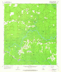 Whitehall 1963 topographic map thumbnail