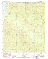 Womack 1989 topographic map thumbnail