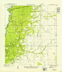 Bivens topographic map thumbnail