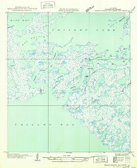 Grand Bayou Du Large 1949 topographic map thumbnail