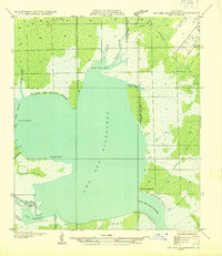 Lac Des Allemands NE topographic map thumbnail