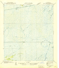 Pecan Island NE 1945 topographic map thumbnail