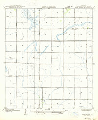 Pine Island topographic map thumbnail