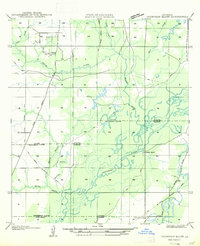 Thompson Bluff topographic map thumbnail
