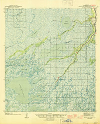 Bayou Du Large 1944 topographic map thumbnail