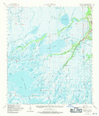 Bayou Du Large topographic map thumbnail