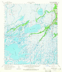 Bayou Du Large 1964 topographic map thumbnail