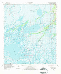 Bayou Du Large 1964 topographic map thumbnail
