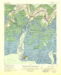 Belle Isle 1941 topographic map thumbnail