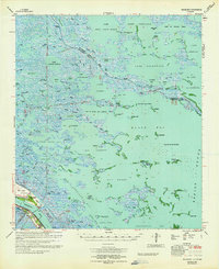 Black Bay 1964 topographic map thumbnail
