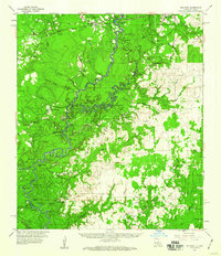 Bon Wier topographic map thumbnail