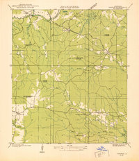 Chopin NE topographic map thumbnail