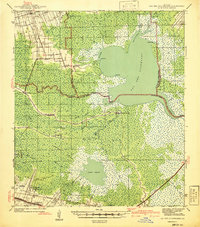 Lac Des Allemands 1941 topographic map thumbnail