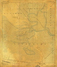 Lac Des Allemands 1892 topographic map thumbnail