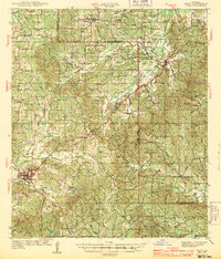 Many 1943 topographic map thumbnail