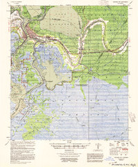 Morgan City 1954 topographic map thumbnail