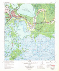 Morgan City 1967 topographic map thumbnail