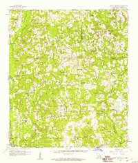 Mount Hermon 1958 topographic map thumbnail