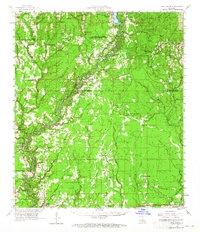 Pine Grove 1958 topographic map thumbnail