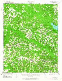 Summerfield 1951 topographic map thumbnail