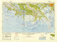 New Orleans 1945 topographic map thumbnail
