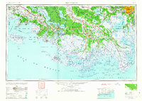 New Orleans 1963 topographic map thumbnail
