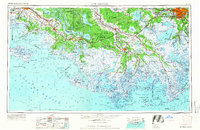 New Orleans 1966 topographic map thumbnail