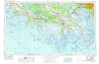 New Orleans 1963 topographic map thumbnail