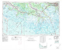 New Orleans 1963 topographic map thumbnail