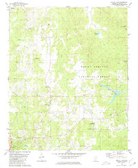 Bagley Lake 1980 topographic map thumbnail