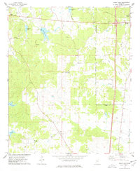 Bailey Lake 1975 topographic map thumbnail