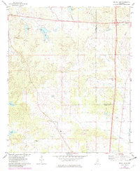 Bailey Lake 1975 topographic map thumbnail