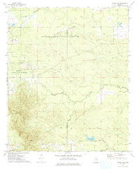 Barge Lake 1973 topographic map thumbnail