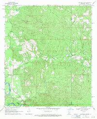 Baxterville SW 1969 topographic map thumbnail