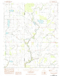 Bear Gut Bayou 1983 topographic map thumbnail