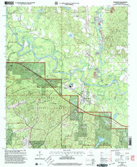 Beaumont 2000 topographic map thumbnail
