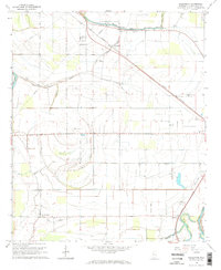 Bellewood 1965 topographic map thumbnail