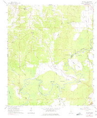 Big Black 1963 topographic map thumbnail