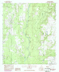 Big Point 1982 topographic map thumbnail