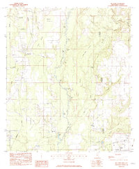 Big Point 1982 topographic map thumbnail